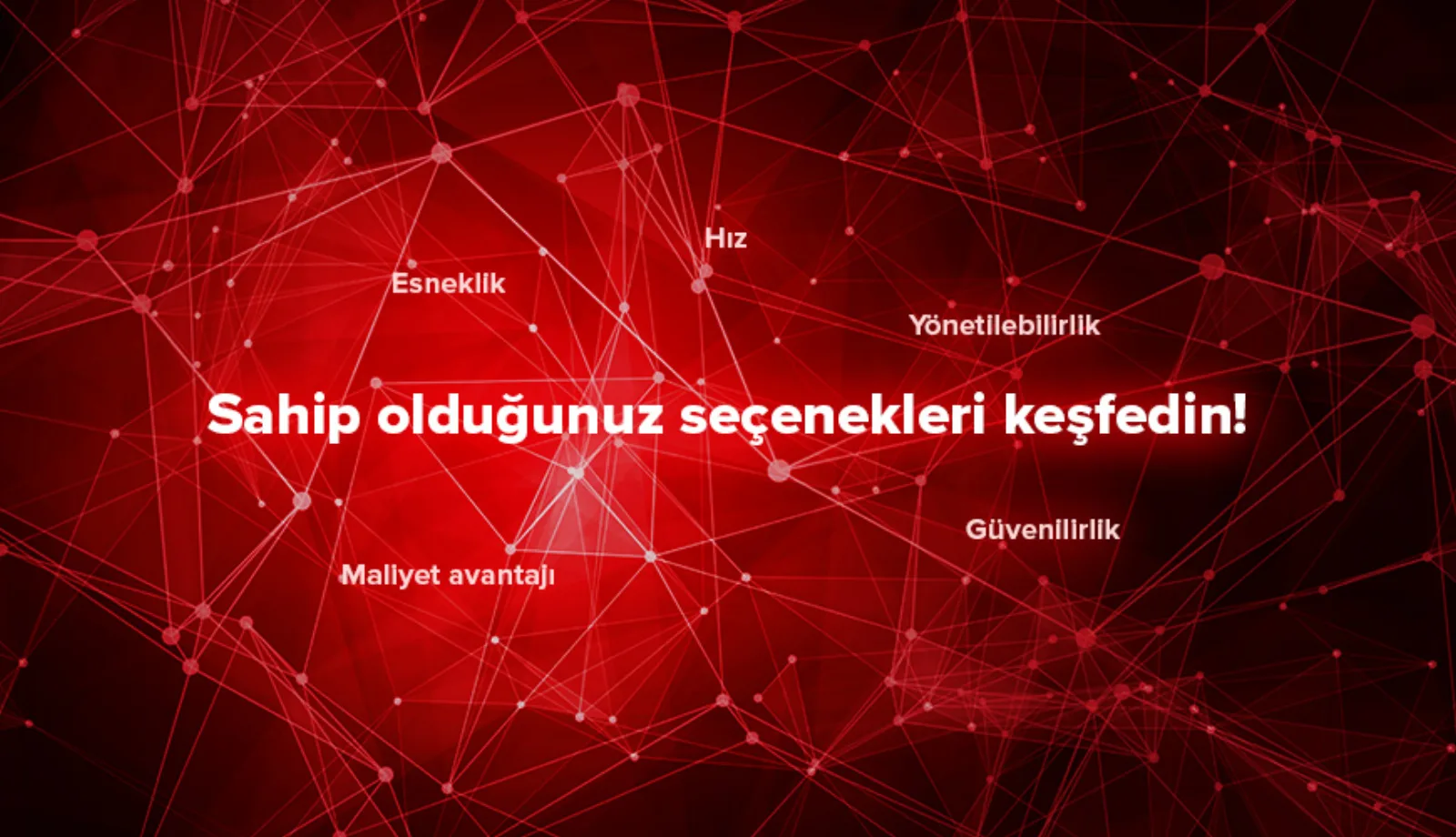 Virtualization Solutions